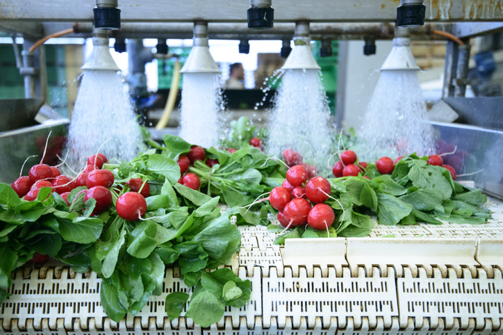 Capital Spending Strategies for Food & Beverage Companies