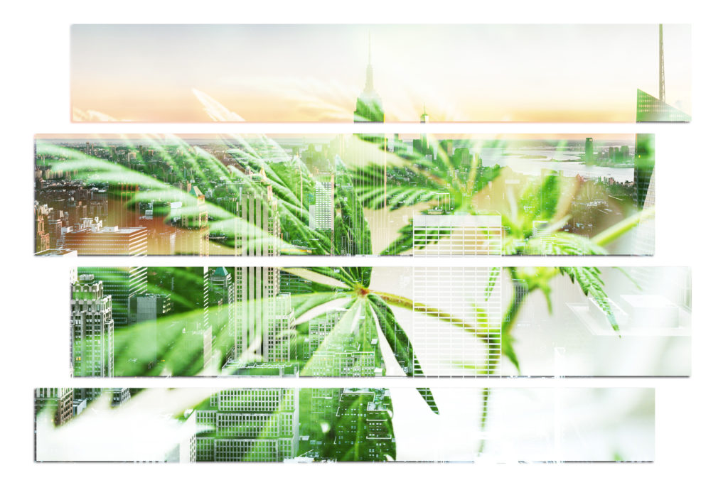 New Tax Savings Opportunity for NYS Cannabis Industry