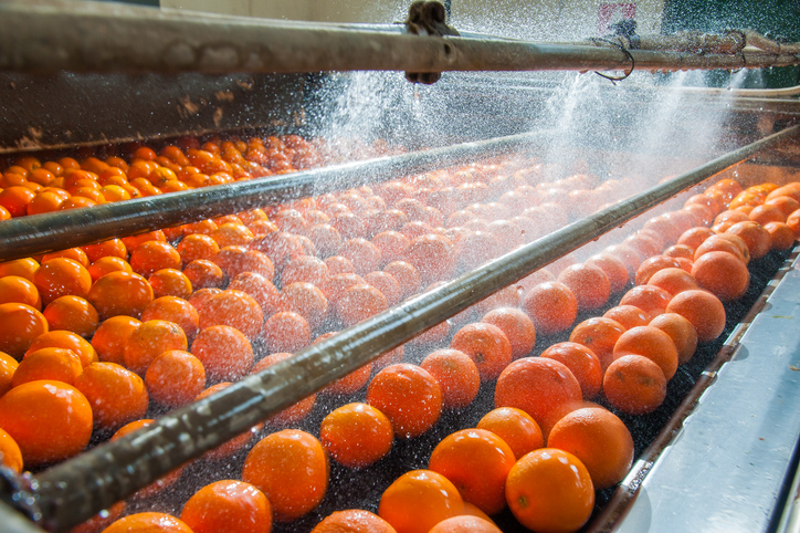 The working of citrus fruits Food processing