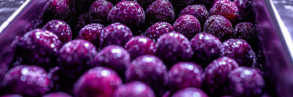 Tariffs Implications for Food and Beverage Industry Leaders