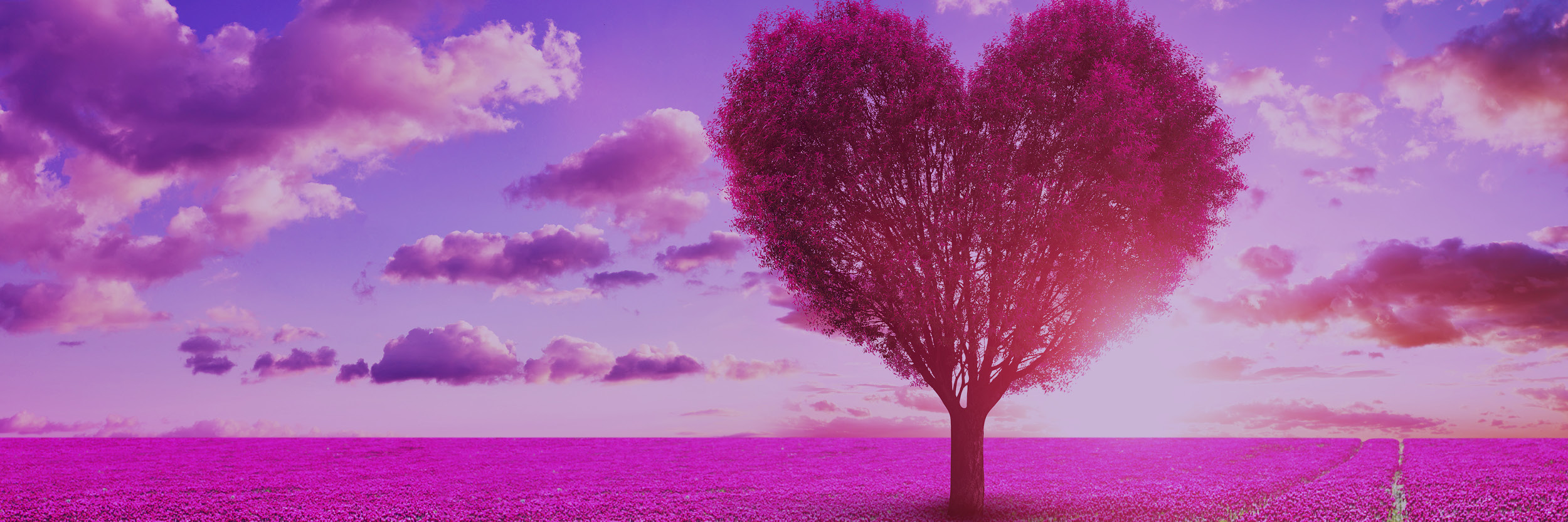 Heart-shaped tree with vibrant pink foliage standing in a field of purple flowers under a dramatic pink and purple sky with scattered clouds at sunset.
