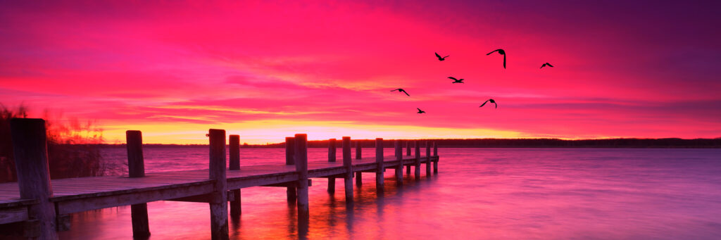 Nonprofit Succession Planning: Protecting Your Mission for Tomorrow