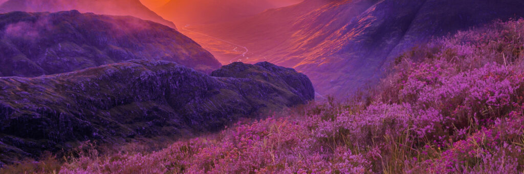 Building Tomorrow’s Leaders: How Internal Talent Development Strengthens Nonprofit Continuity